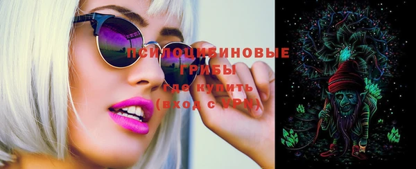 ПСИЛОЦИБИНОВЫЕ ГРИБЫ Новодвинск