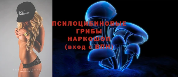 герыч Новозыбков