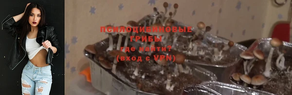 герыч Новозыбков