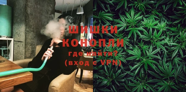 ПСИЛОЦИБИНОВЫЕ ГРИБЫ Новодвинск
