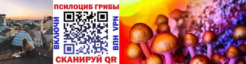 Купить  Рассказово  Псилоцибиновые грибы мицелий 