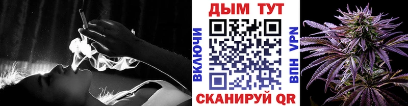 Конопля конопля  Купить  Рассказово 